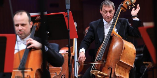 Zagrebačka filharmonija: Kontrabas u glavnoj ulozi